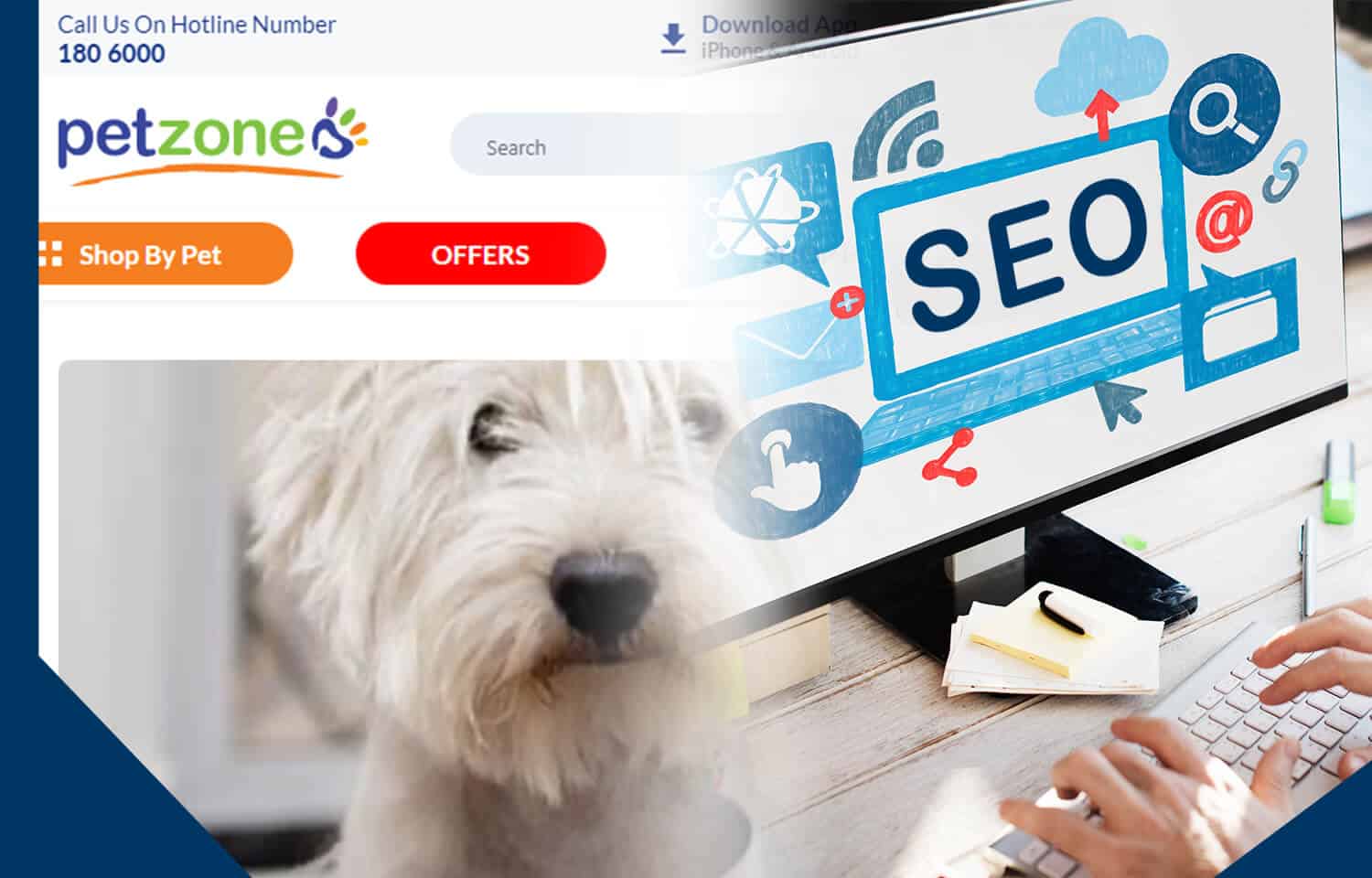 seo localization for petzone website in kuwaiti arabic